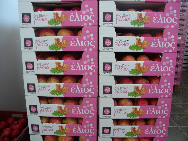 Image hover effect image