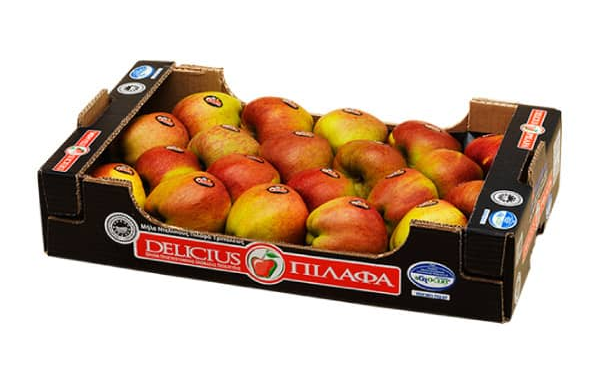 Image hover effect image