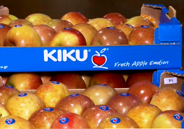 Image hover effect image