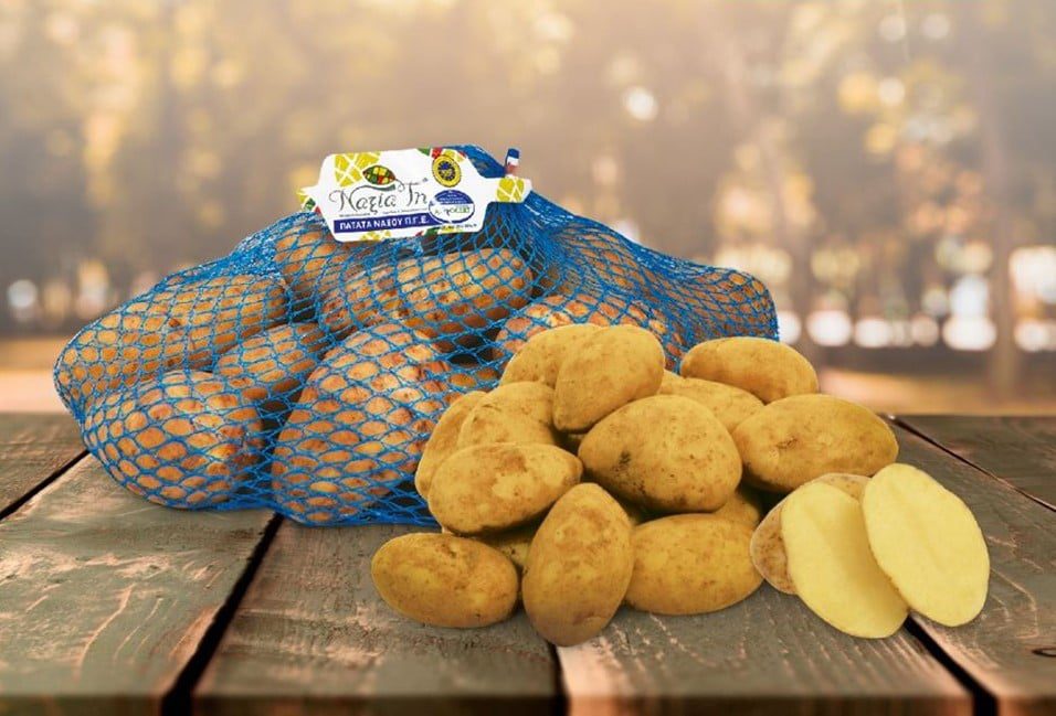 Image hover effect image