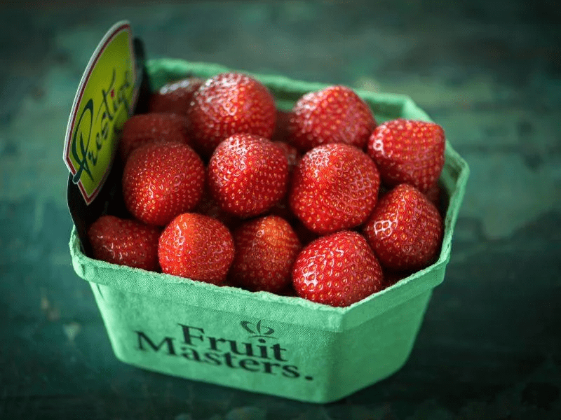 Image hover effect image