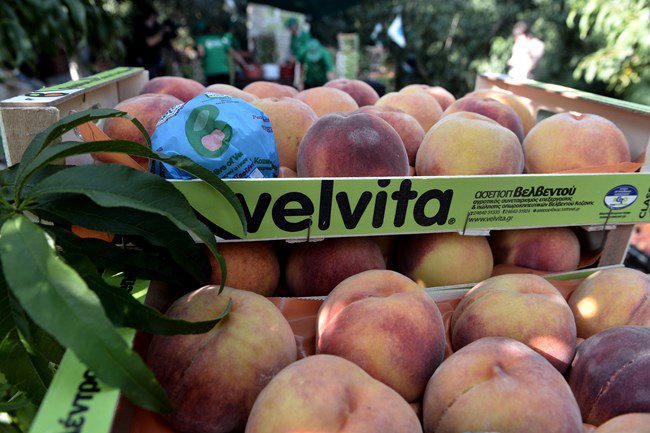 Image hover effect image