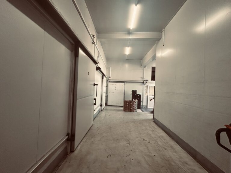 viber image 2025 09 09 11 46 41 205